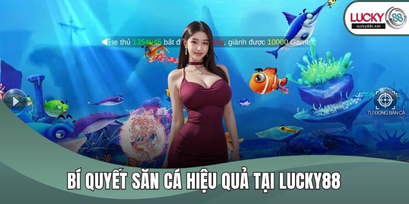 Vua Săn Cá - Chinh Phục Tựa Game Siêu Hấp Dẫn, Thú Vị Bí quyết săn cá hiệu quả tại LUCKY88