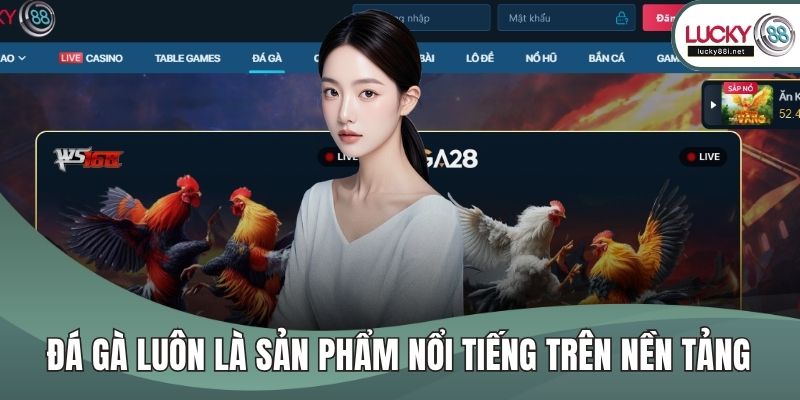 lucky88 - mamaevaschool.ru.com Đá gà luôn là sản phẩm nổi tiếng trên nền tảng